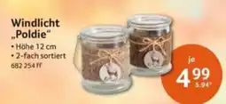 Selgros Windlicht "Poldie" Angebot