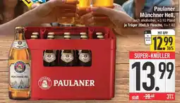E-Center Paulaner Münchner Hell Angebot
