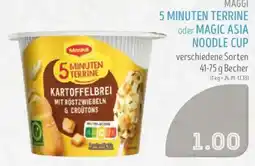 Edeka Struve MAGGI 5 MINUTEN TERRINE Angebot