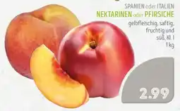 Edeka Struve NEKTARINEN oder PFIRSICHE Angebot