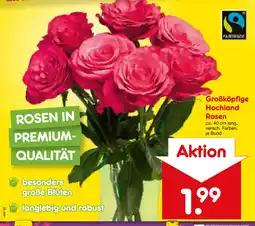 Netto Marken-Discount Großköpfige Hochland Rosen Angebot