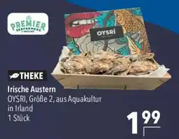 CITTI Markt Irische Austern OYSRI Angebot