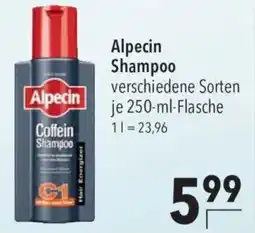 CITTI Markt Alpecin Shampoo Angebot