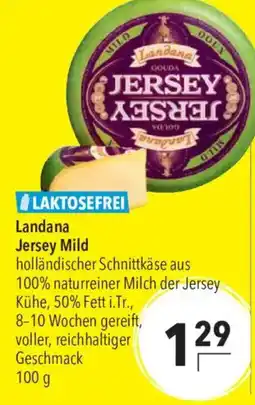 CITTI Markt Landana Jersey Mild Angebot