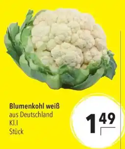 CITTI Markt Blumenkohl weiß Angebot