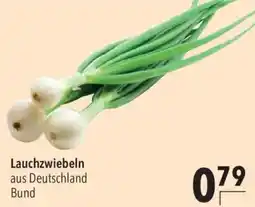 CITTI Markt Lauchzwiebeln Angebot