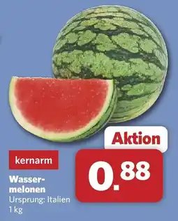 Combi Wasser-melonen Angebot