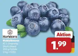 Combi HOFWERTE Heidelbeeren Angebot