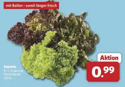 Combi Salatrio Angebot