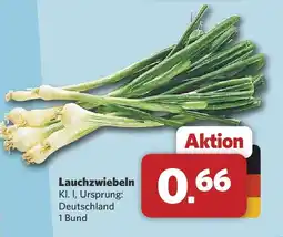 Combi Lauchzwiebeln Angebot