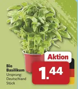 Combi Bio Basilikum Angebot