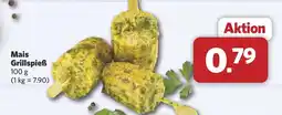 Combi Mais Grillspieẞ Angebot