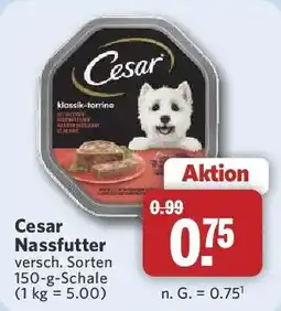 Combi Cesar Nassfutter Angebot