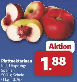 Combi Plattnektarinen Angebot
