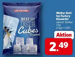 Combi Walter Gott Ice Factory Eiswürfel Angebot