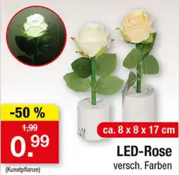 Zimmermann LED-Rose Angebot