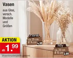 Zimmermann Vasen aus Glas Angebot