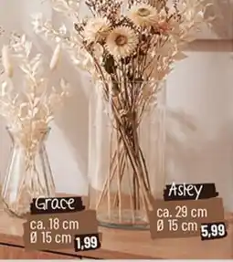 Zimmermann Grace Angebot