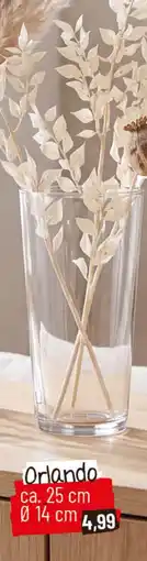 Zimmermann Orlando Vase Angebot
