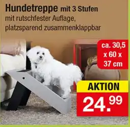 Zimmermann Hundetreppen mit 3 Stufen Angebot