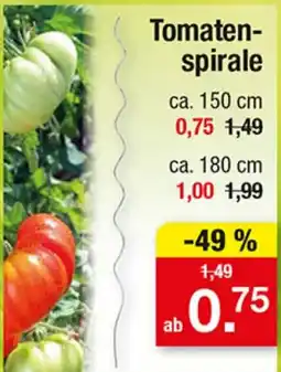 Zimmermann Tomaten-spirale Angebot