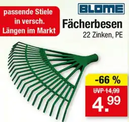 Zimmermann BLOME Fächerbesen Angebot