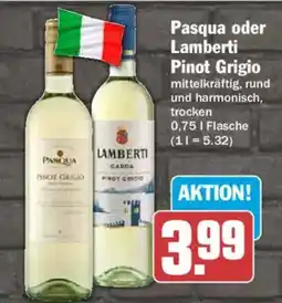 AEZ Pasqua oder Lamberti Pinot Grigio Angebot