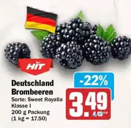 AEZ HIT Brombeeren Angebot