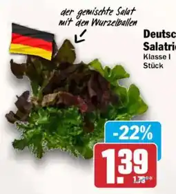 AEZ Deutsche Salatriche Angebot