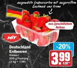 AEZ HIT Deutschland Erdbeeren Angebot