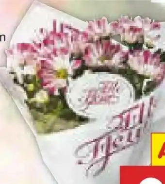 Netto Marken-Discount Chrysanthemen Elle Fleur Angebot