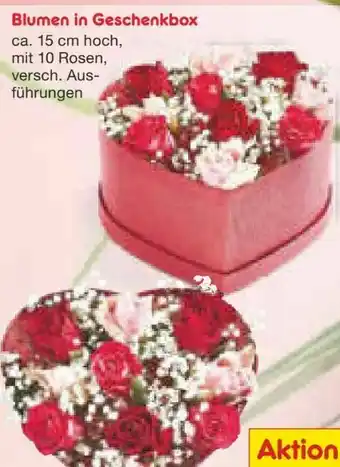Netto Marken-Discount Blumen in Geschenkbox Angebot