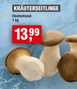 Handelshof KRÄUTERSEITLINGE Angebot