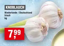 Handelshof Knoblauch Angebot