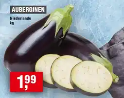 Handelshof Auberginen niederlande Angebot