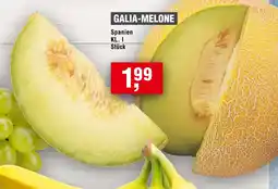 Handelshof Galia melone Angebot
