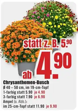 B1 Discount Baumarkt Chrysanthemen-Busch Angebot