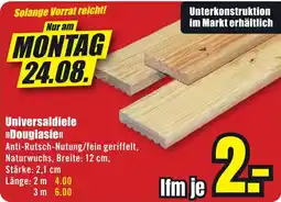 B1 Discount Baumarkt Universaldiele »Douglasie« Angebot
