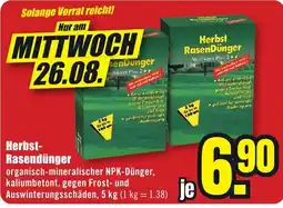 B1 Discount Baumarkt Herbst-Rasendünger Angebot
