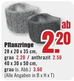 B1 Discount Baumarkt Pflanzringe Angebot