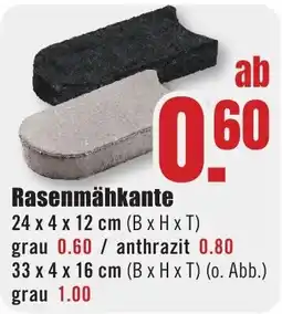 B1 Discount Baumarkt Rasenmähkante Angebot