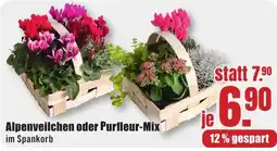 B1 Discount Baumarkt Alpenveilchen oder Purfleur-Mix im Spankorb Angebot