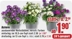 B1 Discount Baumarkt Astern Angebot