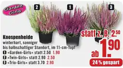 B1 Discount Baumarkt Garden Girls Knospenheide Angebot