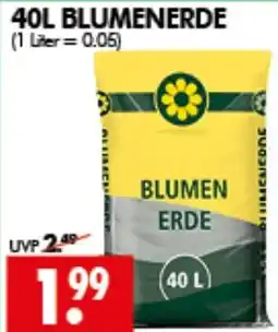 Wreesmann BLUMENERDE Angebot
