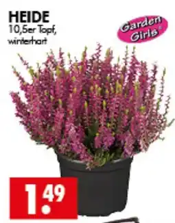 Wreesmann HEIDE Garden Girls Angebot