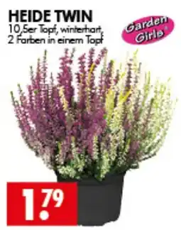 Wreesmann HEIDE TWIN Angebot