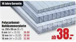 B1 Discount Baumarkt Polycarbonat-Hohlkammerplatte Angebot