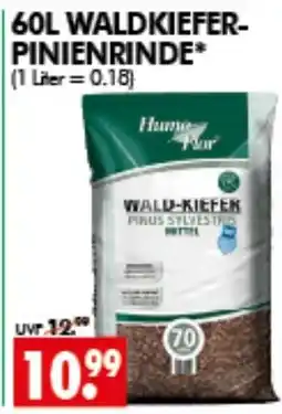 Wreesmann HumaFlor WALD-KIEFER-PINIENTRINDE Angebot