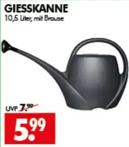 Wreesmann GIESSKANNE Angebot